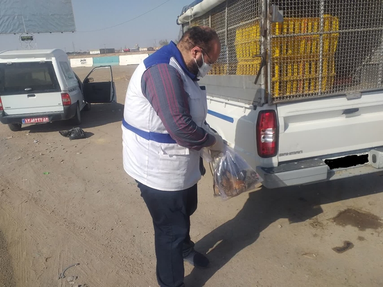 اقدام دامپزشکی زارچ با همکاری شهرداری و نیروی انتظامی در برخورد با فروشنده دوره گرد